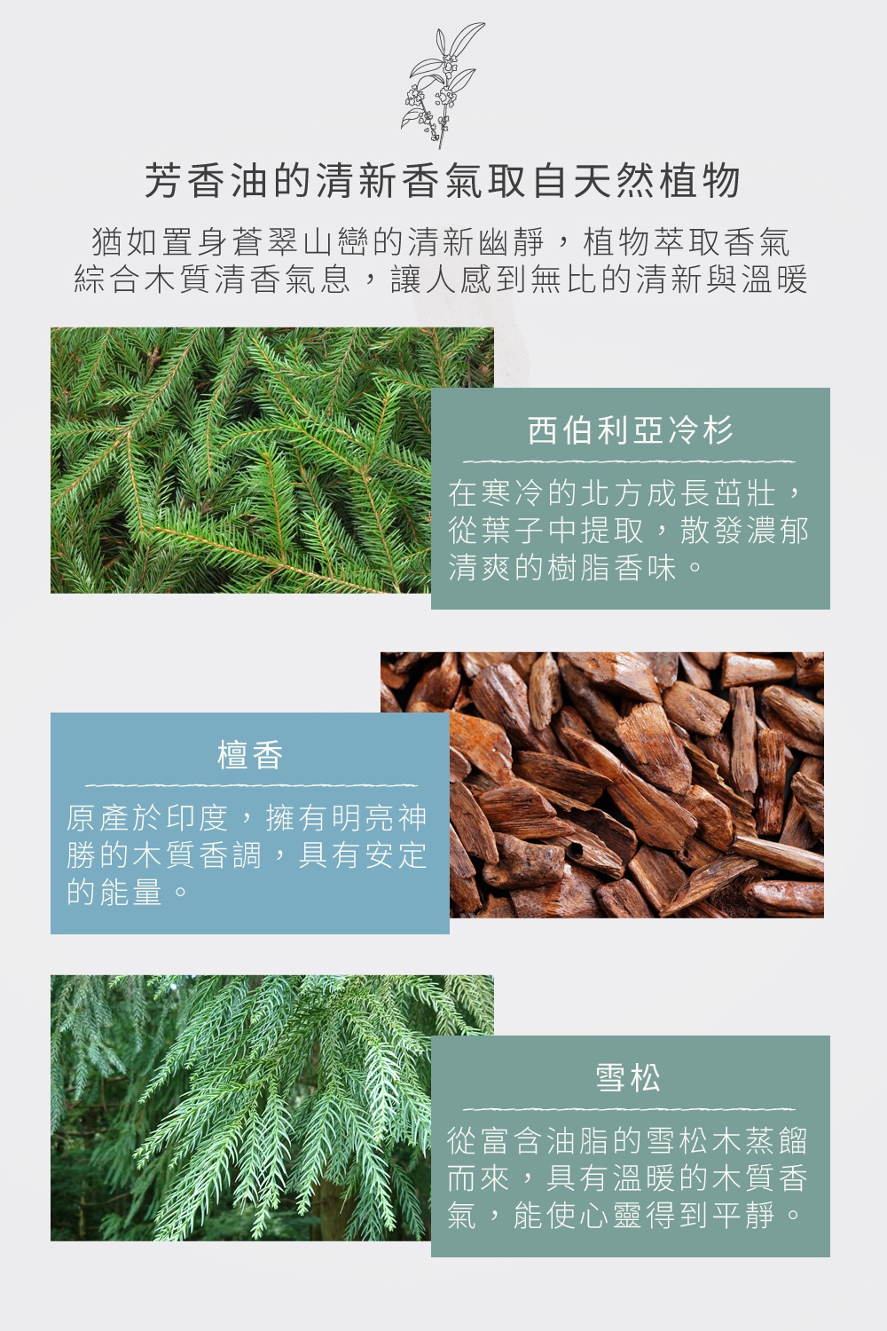芳香油的清新香氣取自天然植物，猶如置身蒼翠山巒的清新幽靜，植物萃取香氣，綜合木質清香氣息，讓人感到無比的清新與溫暖