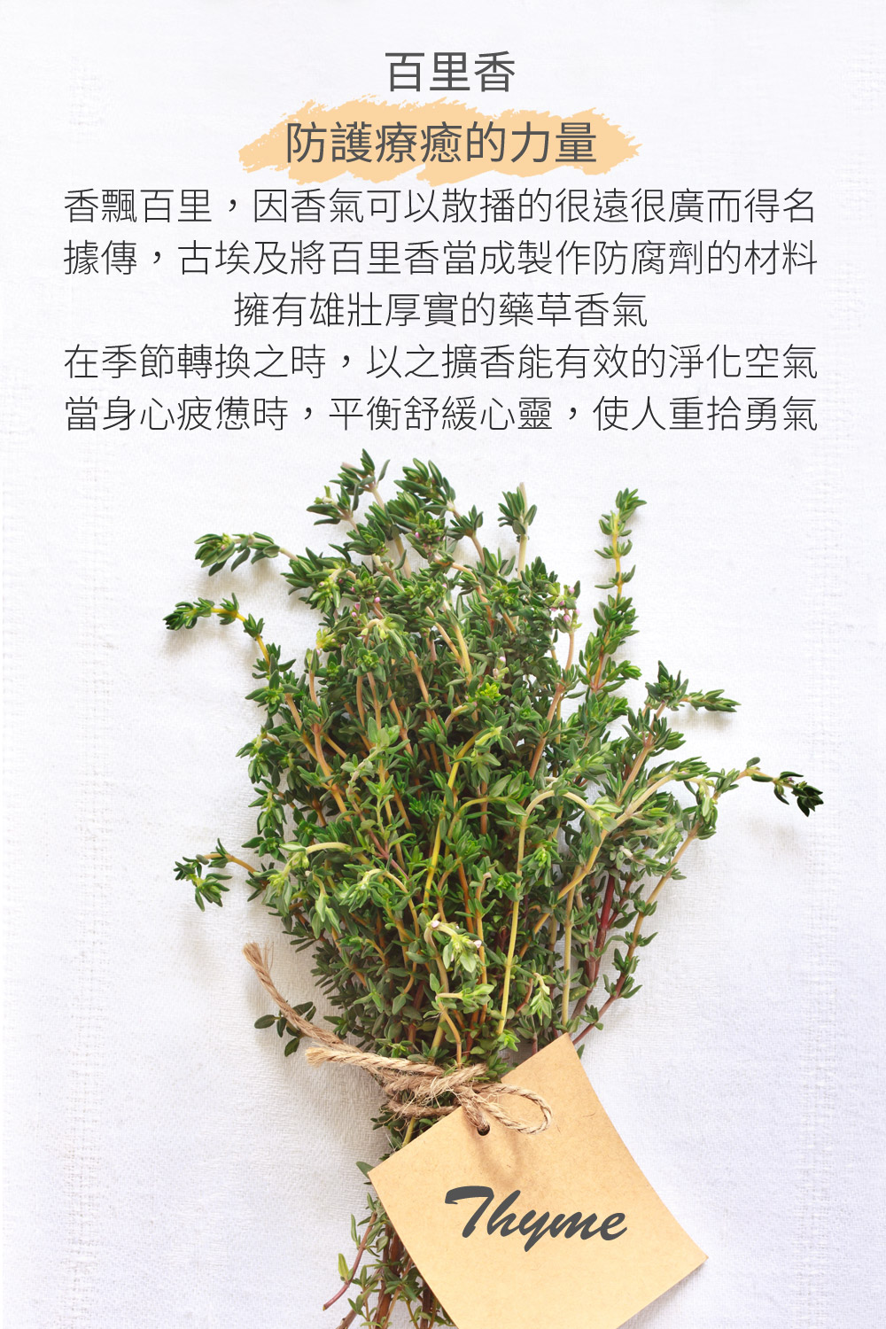 香飄百里，因香氣可以散播的很遠很廣而得名，據傳，古埃及將百里香當成製作防腐劑的材料，擁有雄壯厚實的藥草香氣，在季節轉換之時，以之擴香能有效的淨化空氣，當身心疲憊時，平衡舒緩心靈，使人重拾勇氣