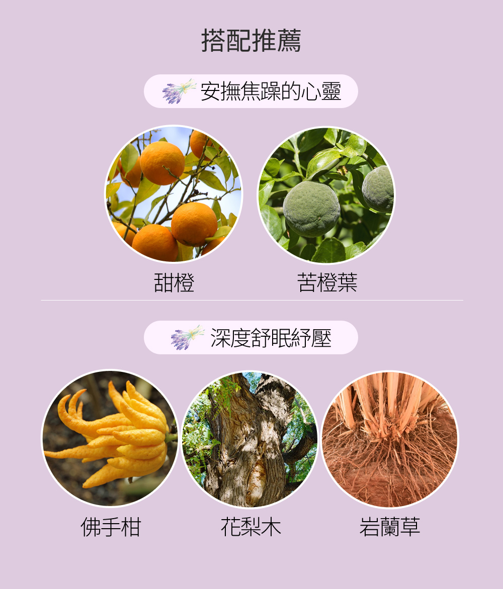 在生活節奏快速變動的時代，人們面對工作、課業、人際與感情的變動，不論是壓力如影隨形帶來的焦慮低落與深夜的輾轉難眠，又或是因氣候環境、心境的改變導致肌膚不適，透過帶著清澈木質調的薰衣草花香，釋放壓力找回身心靈最初的平衡。此外，保加利亞薰衣草精油的香調芬芳有助於消臭及淨化空氣，除了使用於水氧機、恆溫擴香器，也能滴在香氛吊卡或擴香石，放置鞋櫃或衣櫥內驅趕蚊蟲散發淡淡植物香氣。其廣泛的用途從古至今皆有相關的歷史記載，無庸置疑是居家常備的藥草之一。