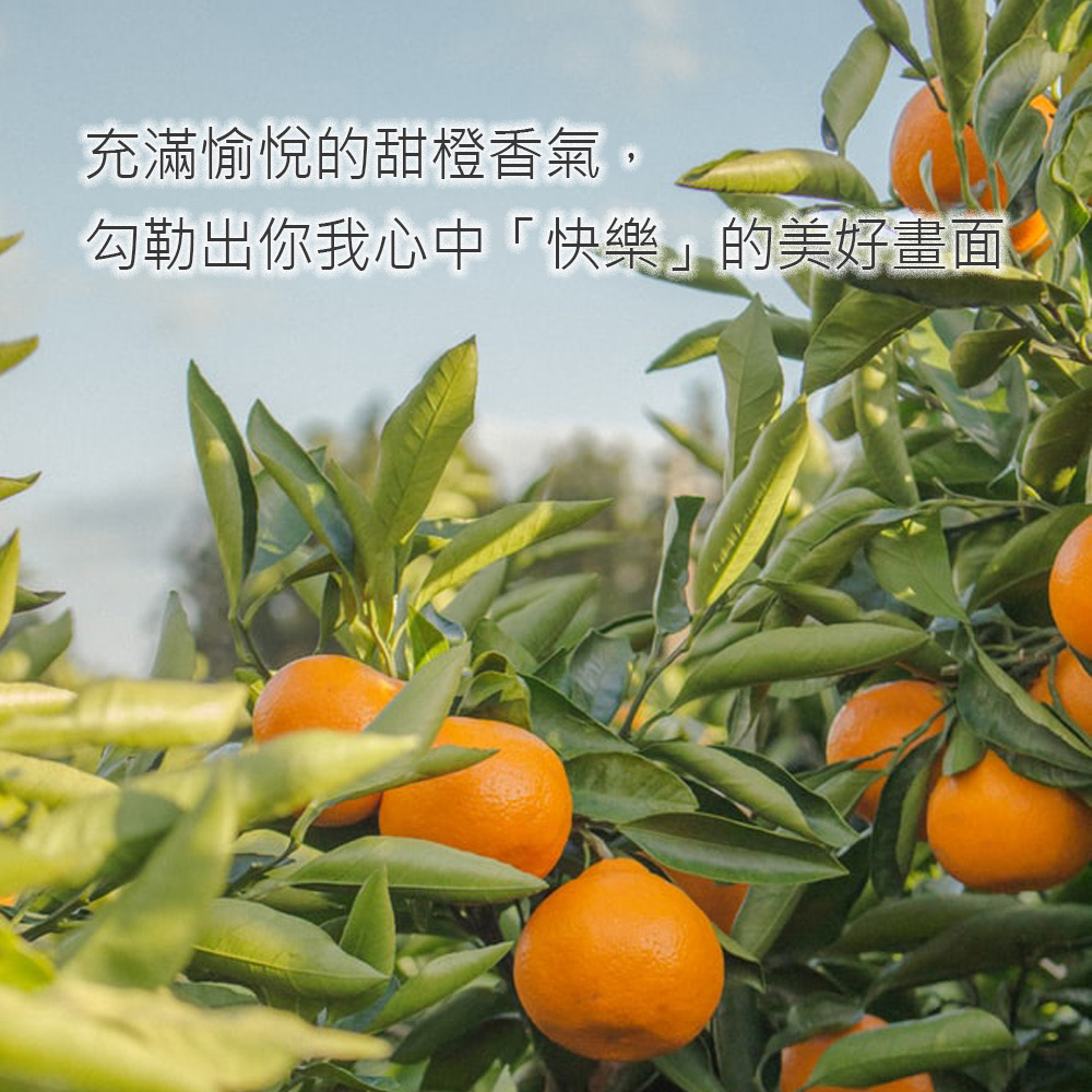 充滿愉悅的甜橙香氣，勾勒出妳我心中快樂的美好畫面