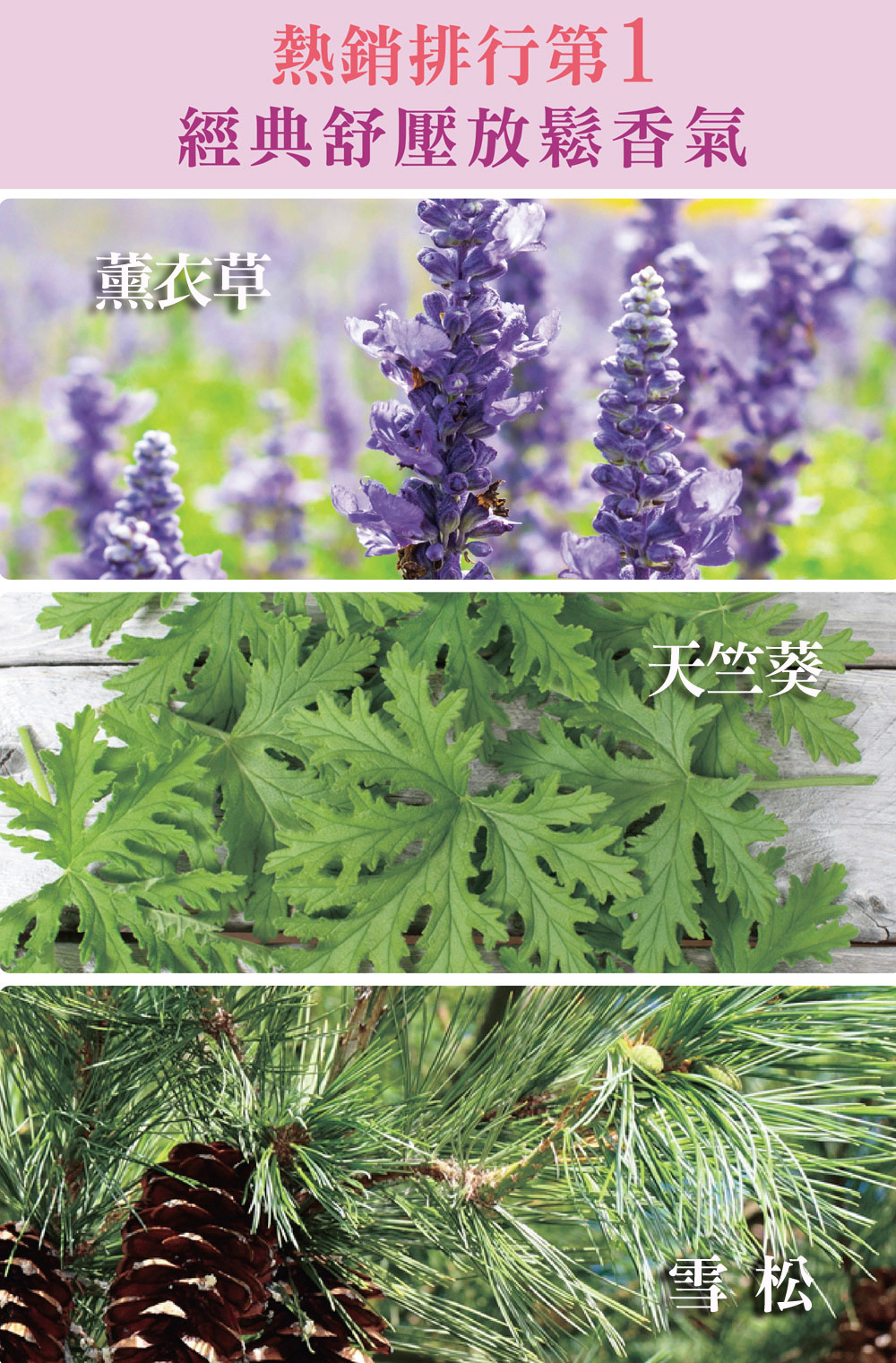 熱銷排行第一，經典抒壓放鬆香氣