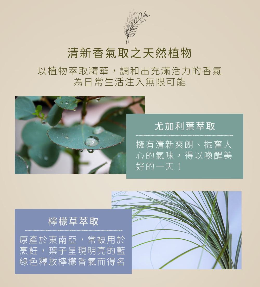 以植物萃取精華，調和出充滿活力的香氣為日常生活注入無限可能