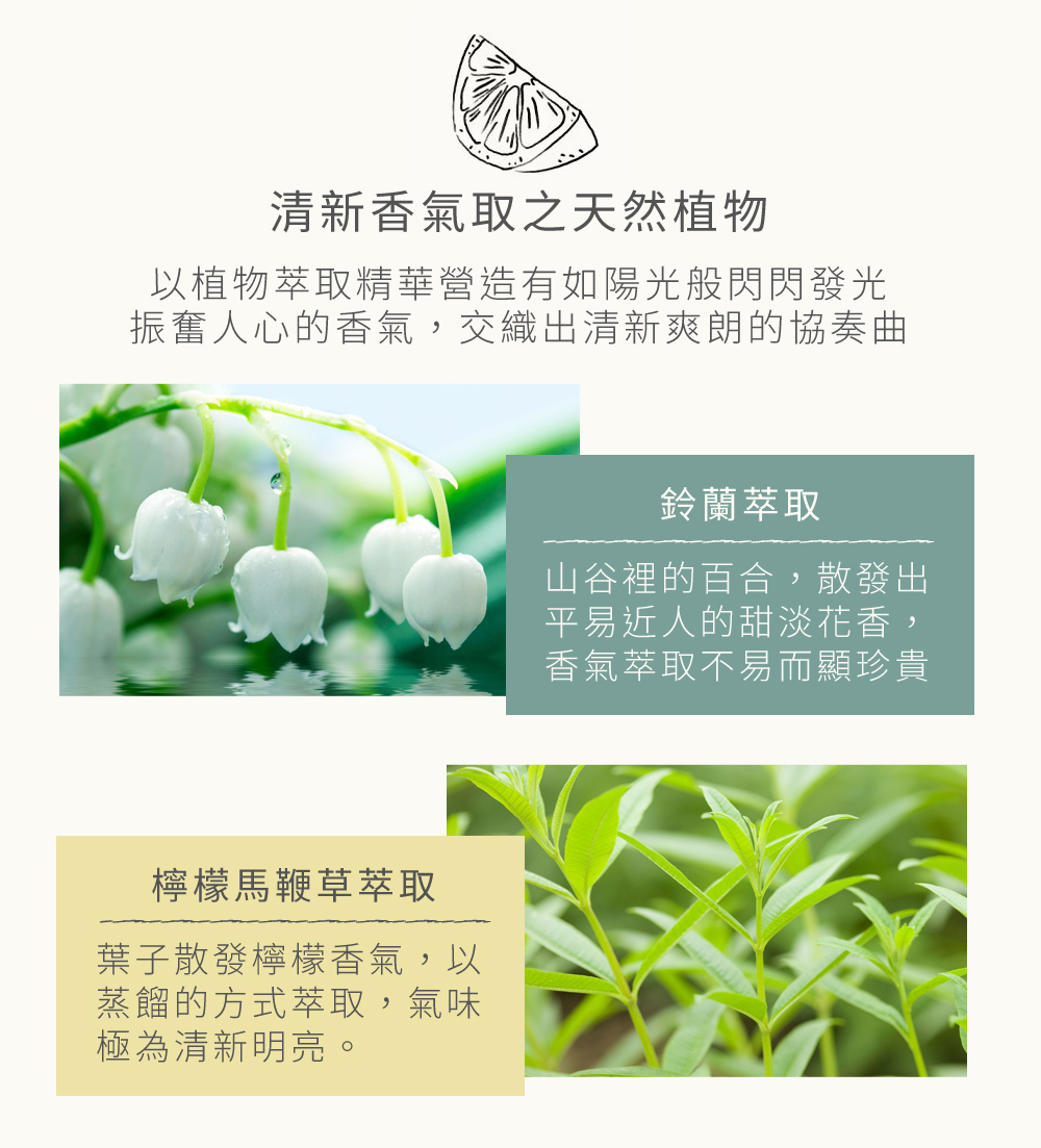 以植物萃取精華營造有如陽光般閃閃發光、振奮人心的香氣，交織出清新爽朗的協奏曲
