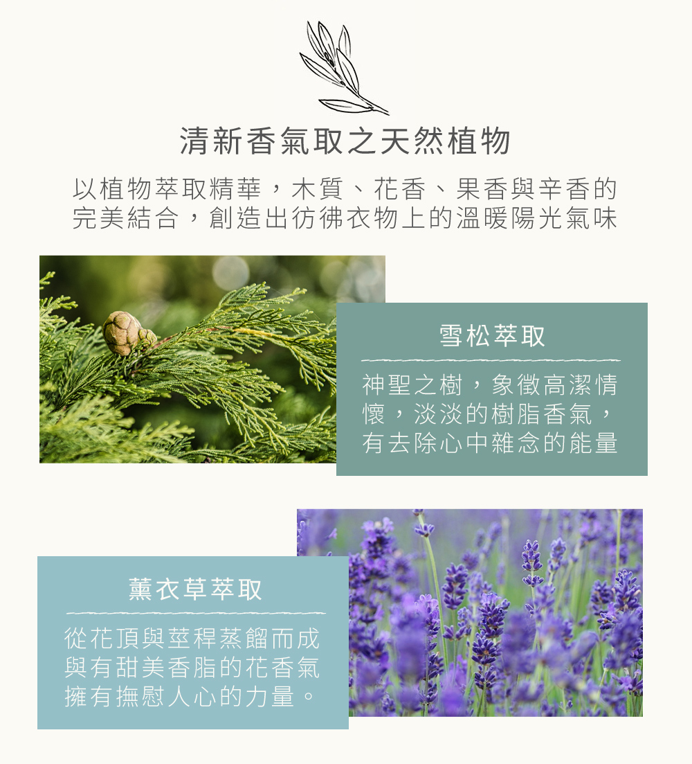清新香氣取之天然植物，以植物萃取精華，木質、花香、果香與辛香的，完美結合，創造出彷彿衣物上的溫暖陽光氣味