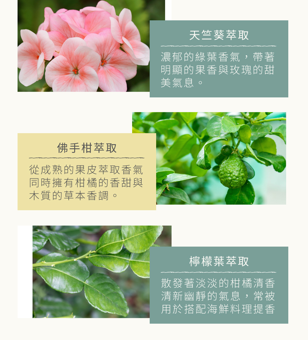 清新香氣取之天然植物，以植物萃取精華營造有如陽光般閃閃發光，振奮人心的香氣，交織出清新爽朗的協奏曲