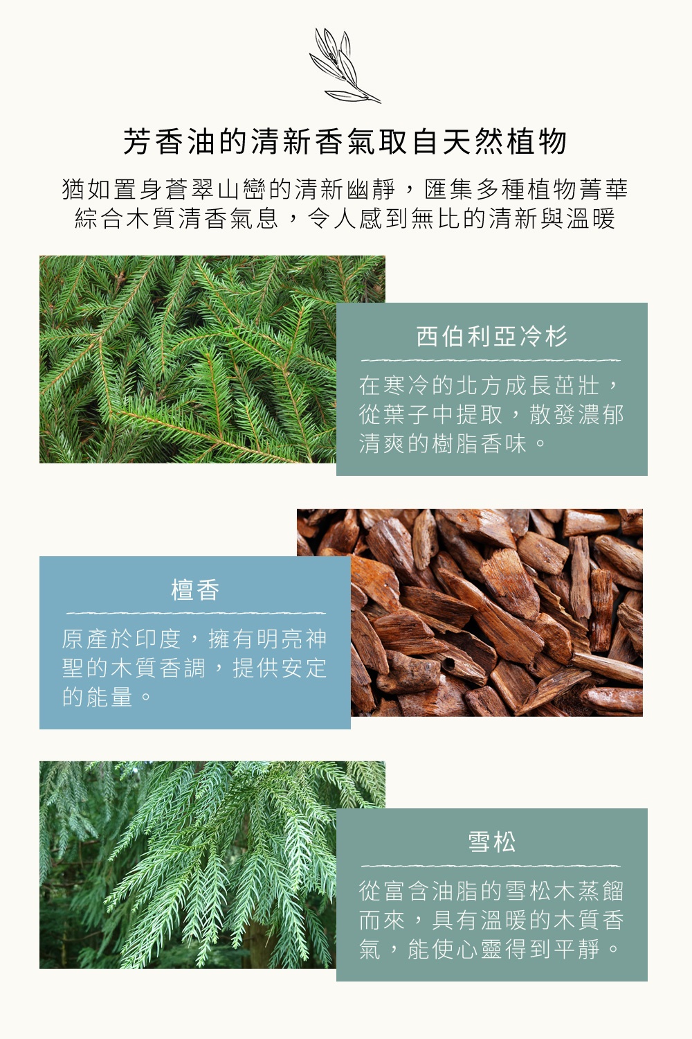 芳香油的清新香氣取自天然植物，猶如置身蒼翠山巒的清新幽靜，匯集多種植物菁華，綜合木質清香氣息，令人感到無比的清新與溫暖