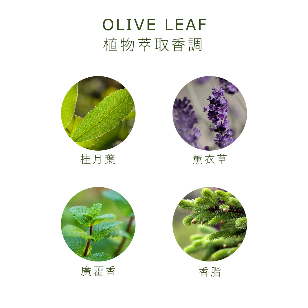 擁有月桂、香脂、薰衣草、廣藿香...等植物香氣