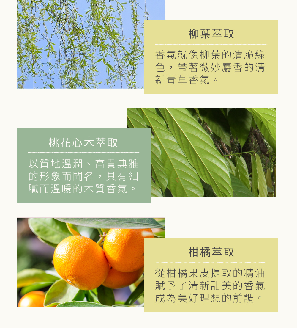 清新香氣取之天然植物
