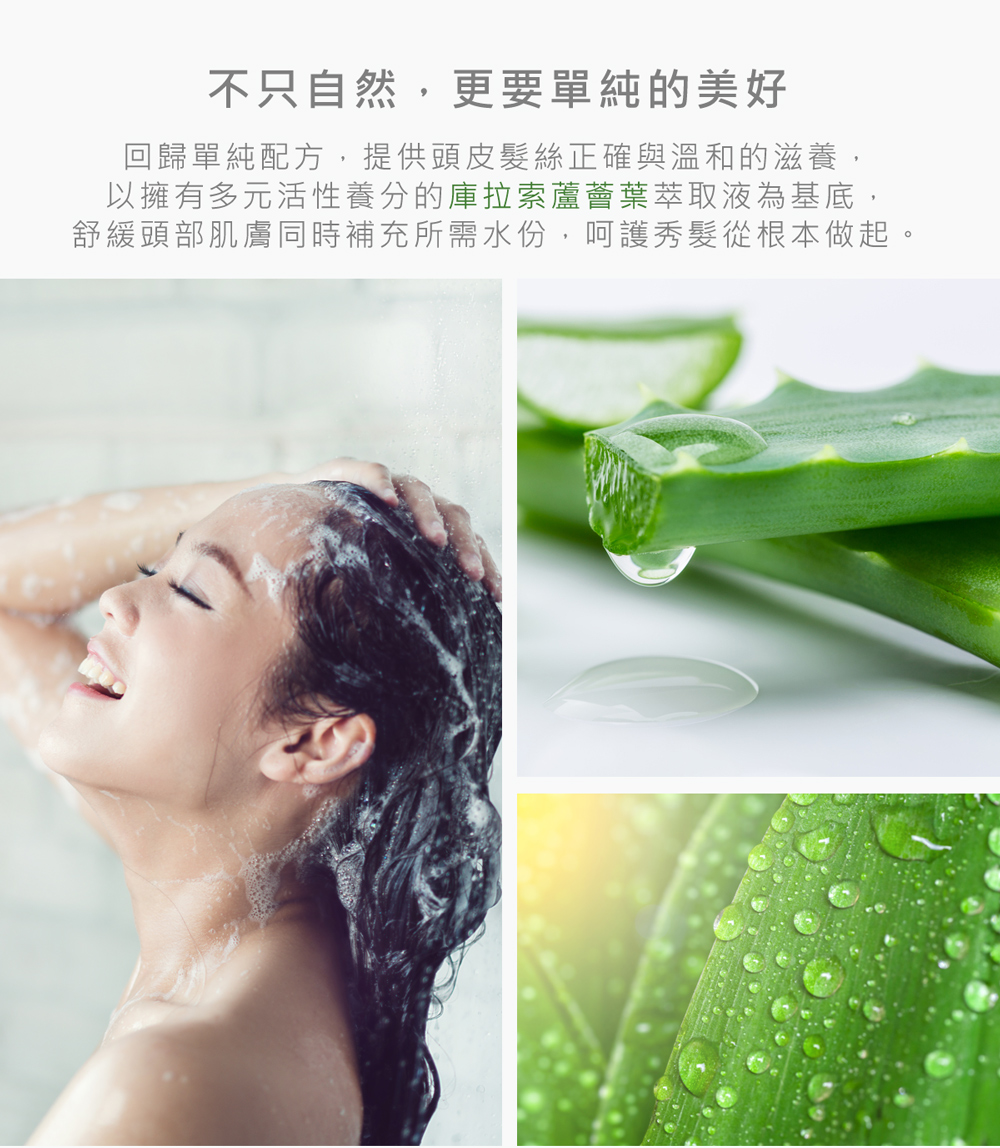 回歸單純配方，提供頭皮髮絲正確與溫和的滋養，以擁有多元活性養分的庫拉索蘆薈葉萃取液為基底，舒緩頭部肌膚同時補充所需水份，呵護秀髮從根本做起。
