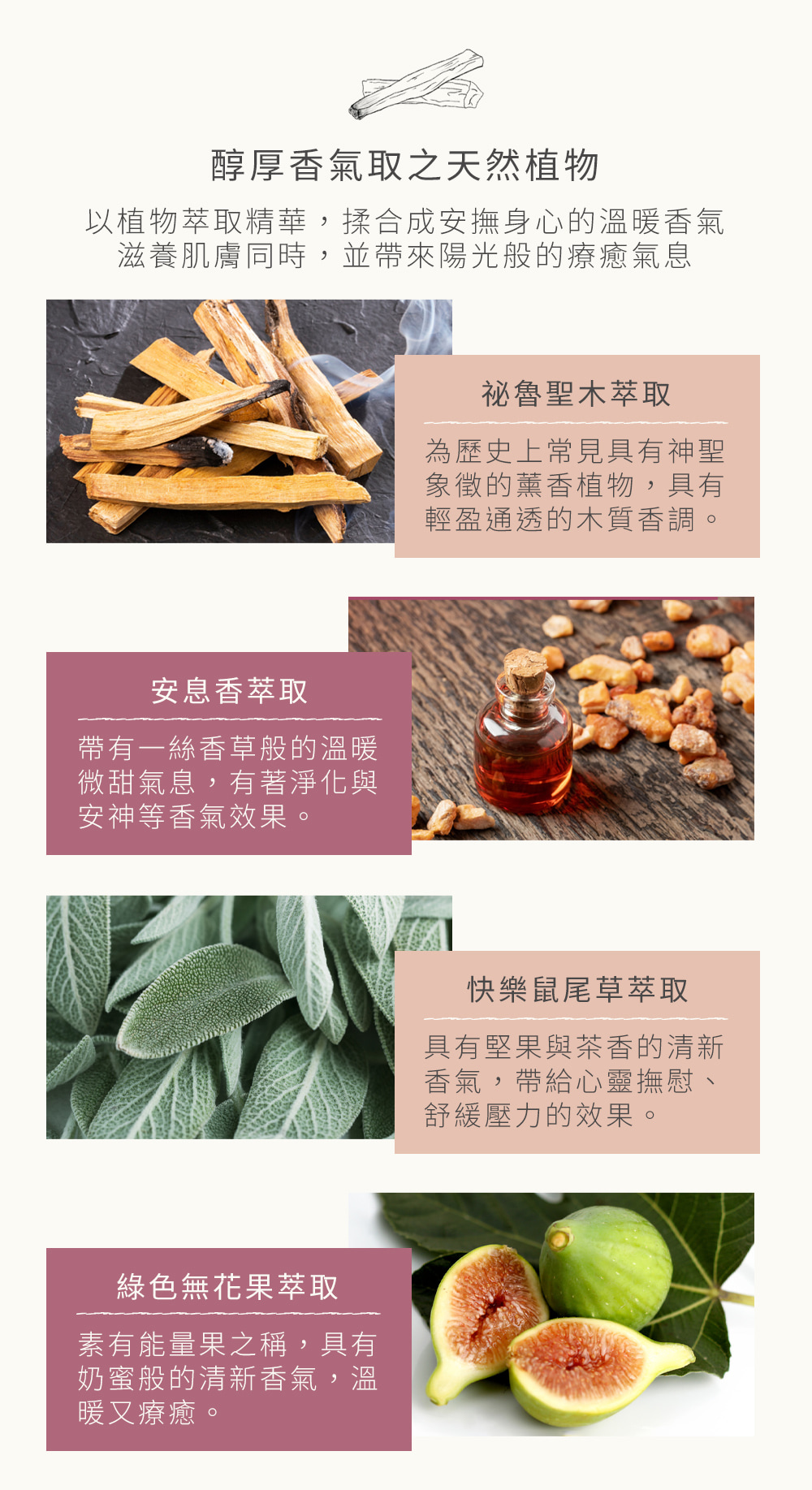 以植物萃取精華，揉合成安撫身心的溫暖香氣，滋養肌膚同時，並帶來陽光的療癒氣息