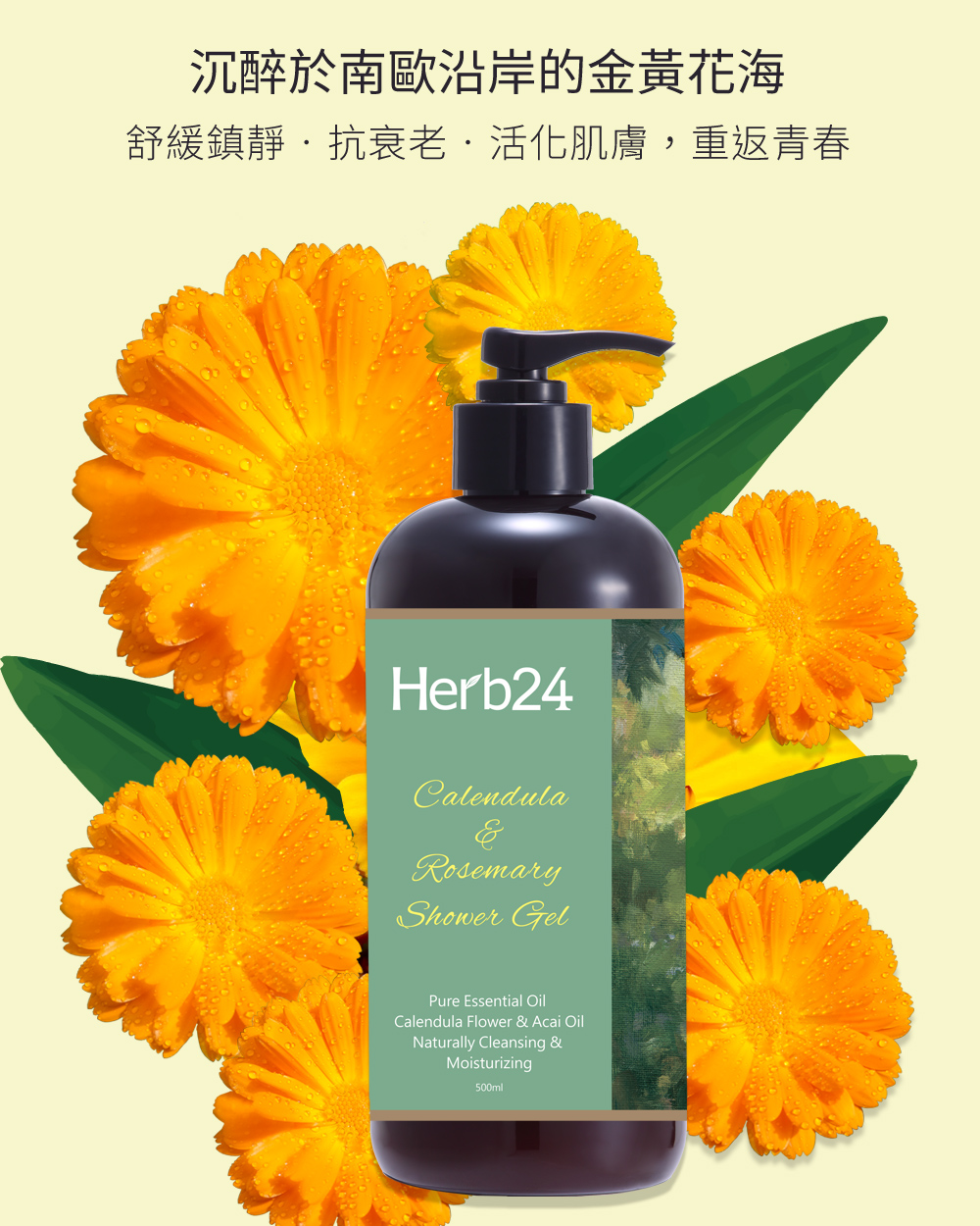 沉醉於南歐沿岸的金黃花海