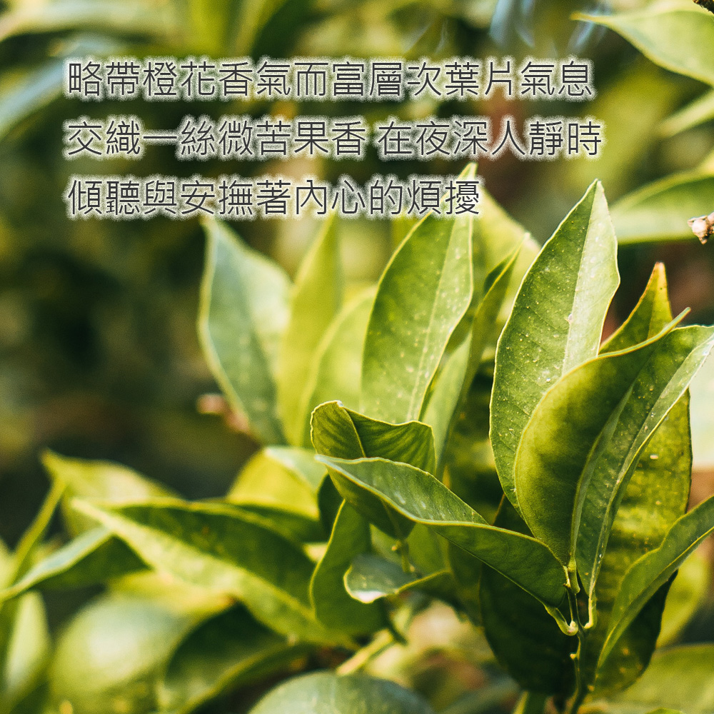 略帶橙花香氣而富層次葉片氣息，交織一絲微苦果香 在夜深人靜時，傾聽與安撫著內心的煩擾