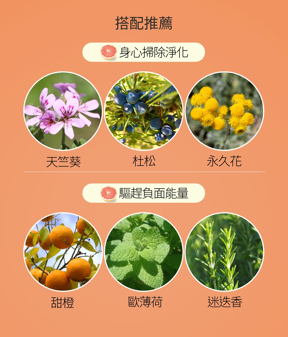 當繁忙與壓力讓身心狀態停滯不前，缺乏活力時