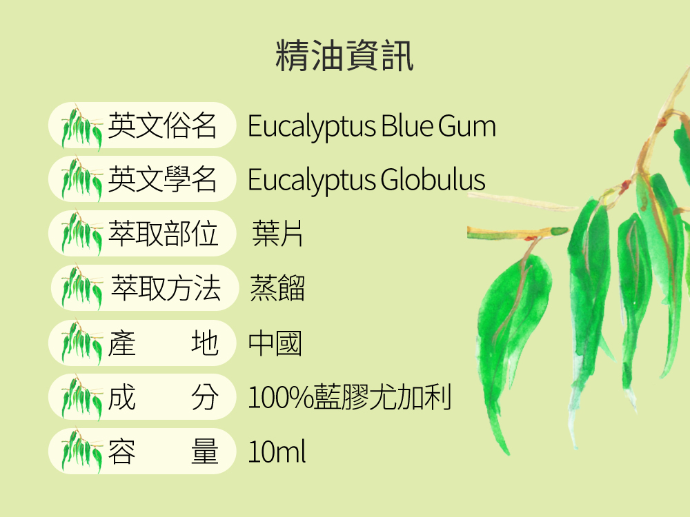 藍膠尤加利精油
