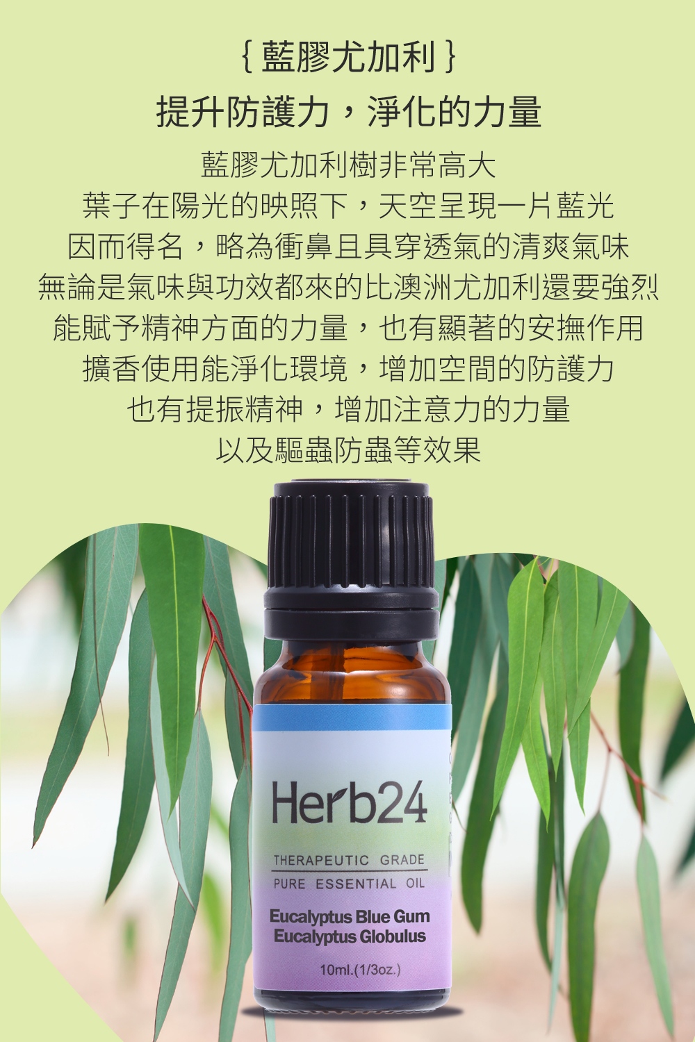 藍膠尤加利擁有澄清略為衝鼻，具有穿透力的清爽氣味