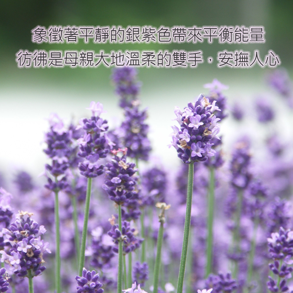 象徵著平靜的銀紫色帶來平衡能量，彷彿是母親大地溫柔的雙手，安撫人心