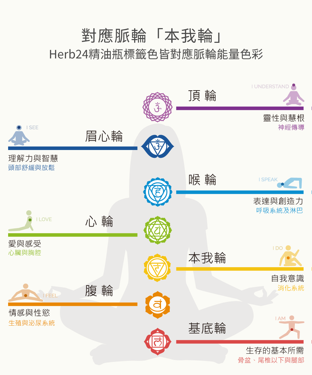 脈輪能量色彩「本我輪」