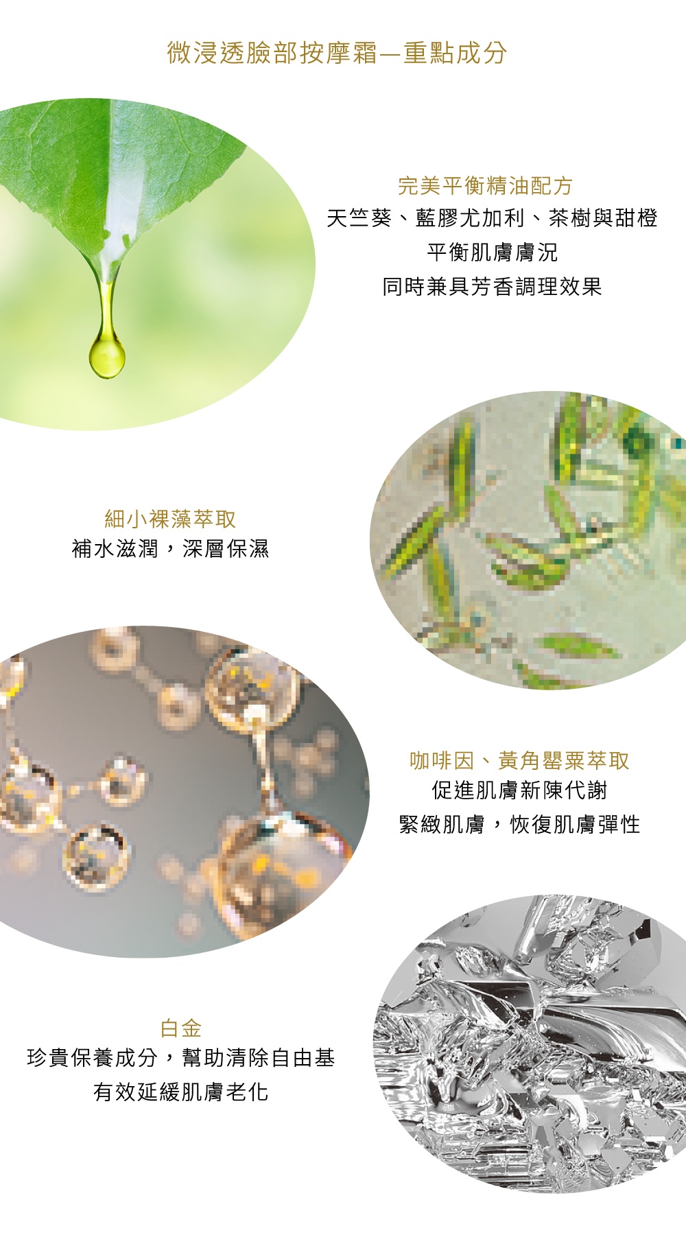 微浸透臉部按摩霜—重點成分 