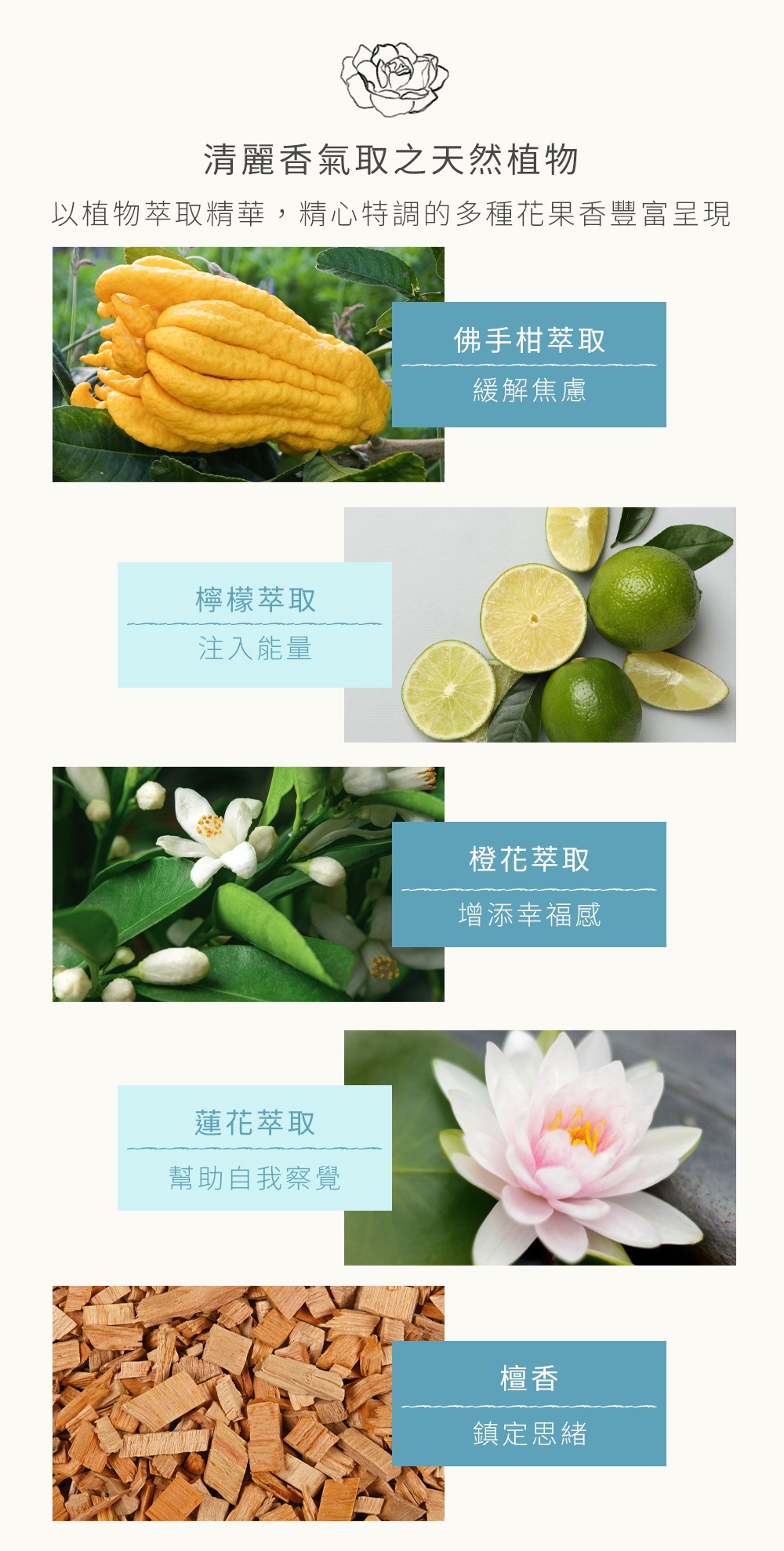 以植物萃取精華，將精心特調的多種花果香豐富呈現
