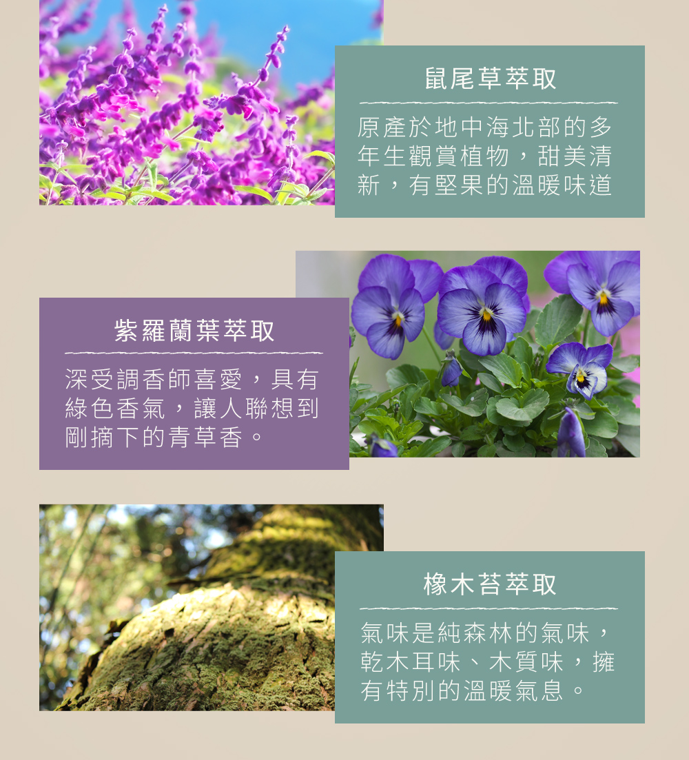 以植物萃取精華，調和出充滿活力的香氣為日常生活注入無限可能
