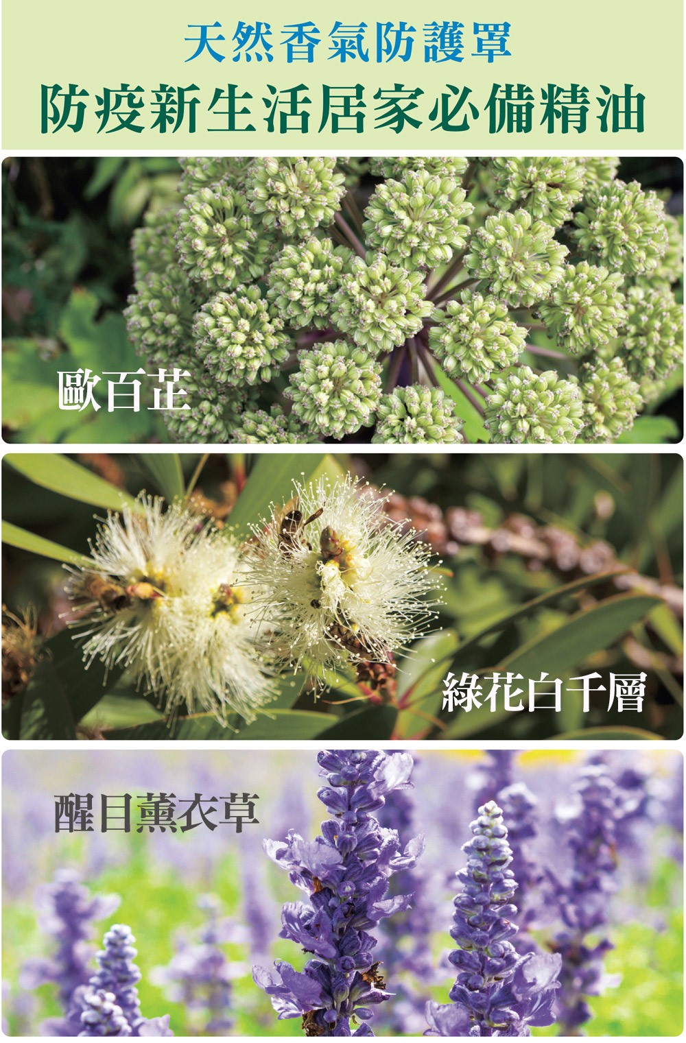 天然香氣防護罩，防疫新生活必備精油