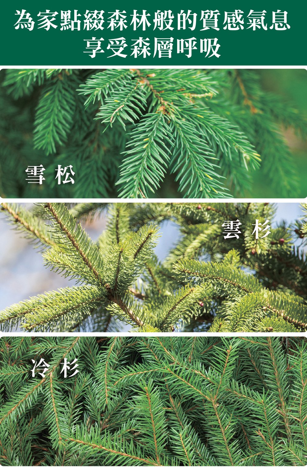 為家點綴森林般的質感氣息，享受森層呼吸