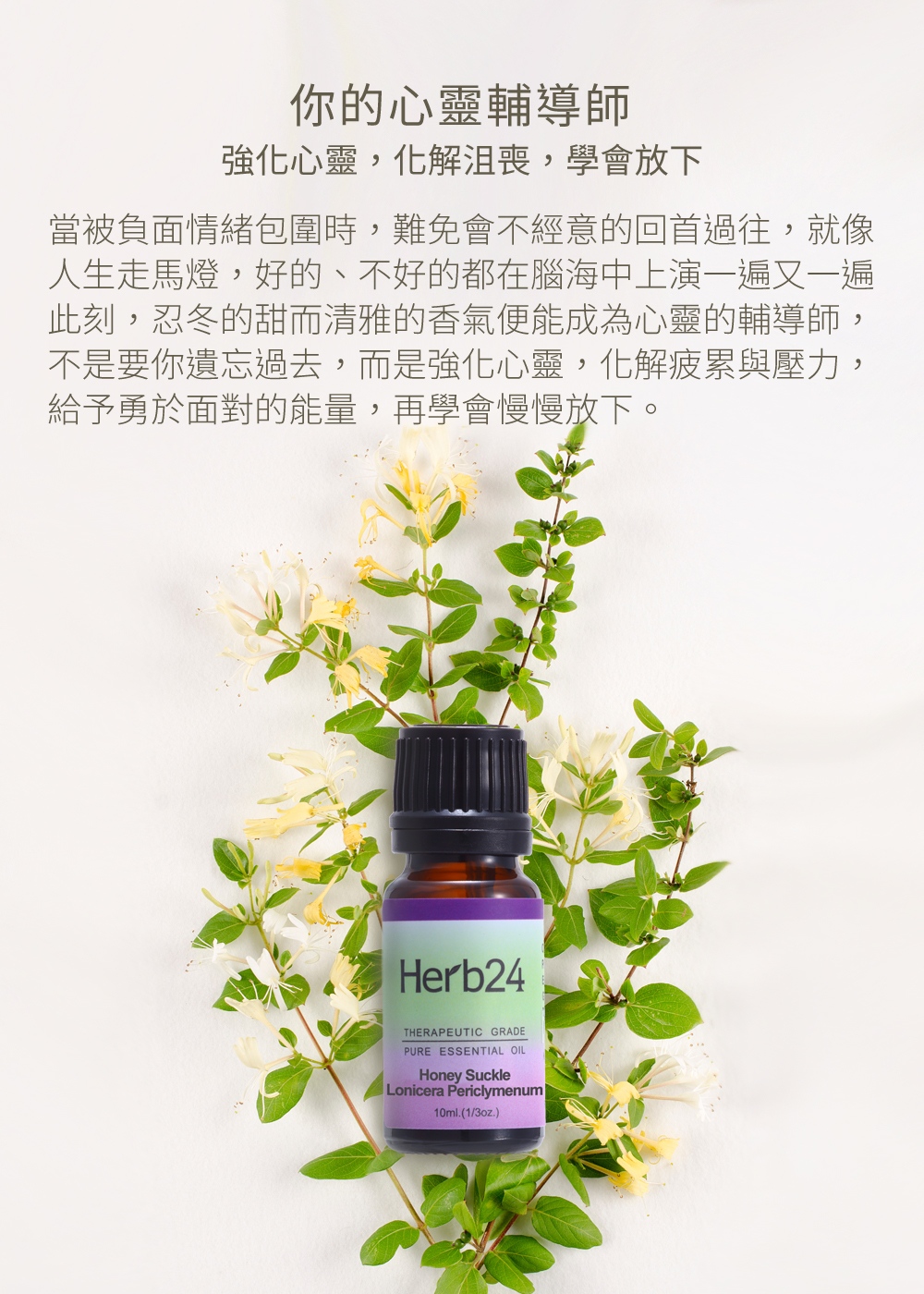 你的心靈輔導師，強化心靈，化解沮喪，學會放下，當被負面情緒包圍時，難免會不經意的回首過往，就像人生走馬燈，好的、不好的都在腦海中上演一遍又一遍，此刻，忍冬的甜而清雅的香氣便能成為心靈的輔導師，不是要你遺忘過去，而是強化心靈，化解疲累與壓力，給予勇於面對的能量，再學會慢慢放下。