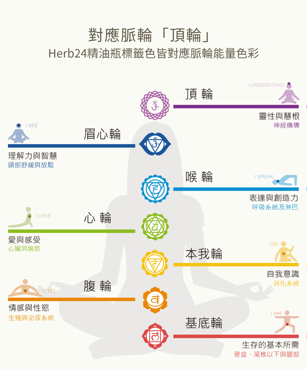 脈輪能量色彩「頂輪」