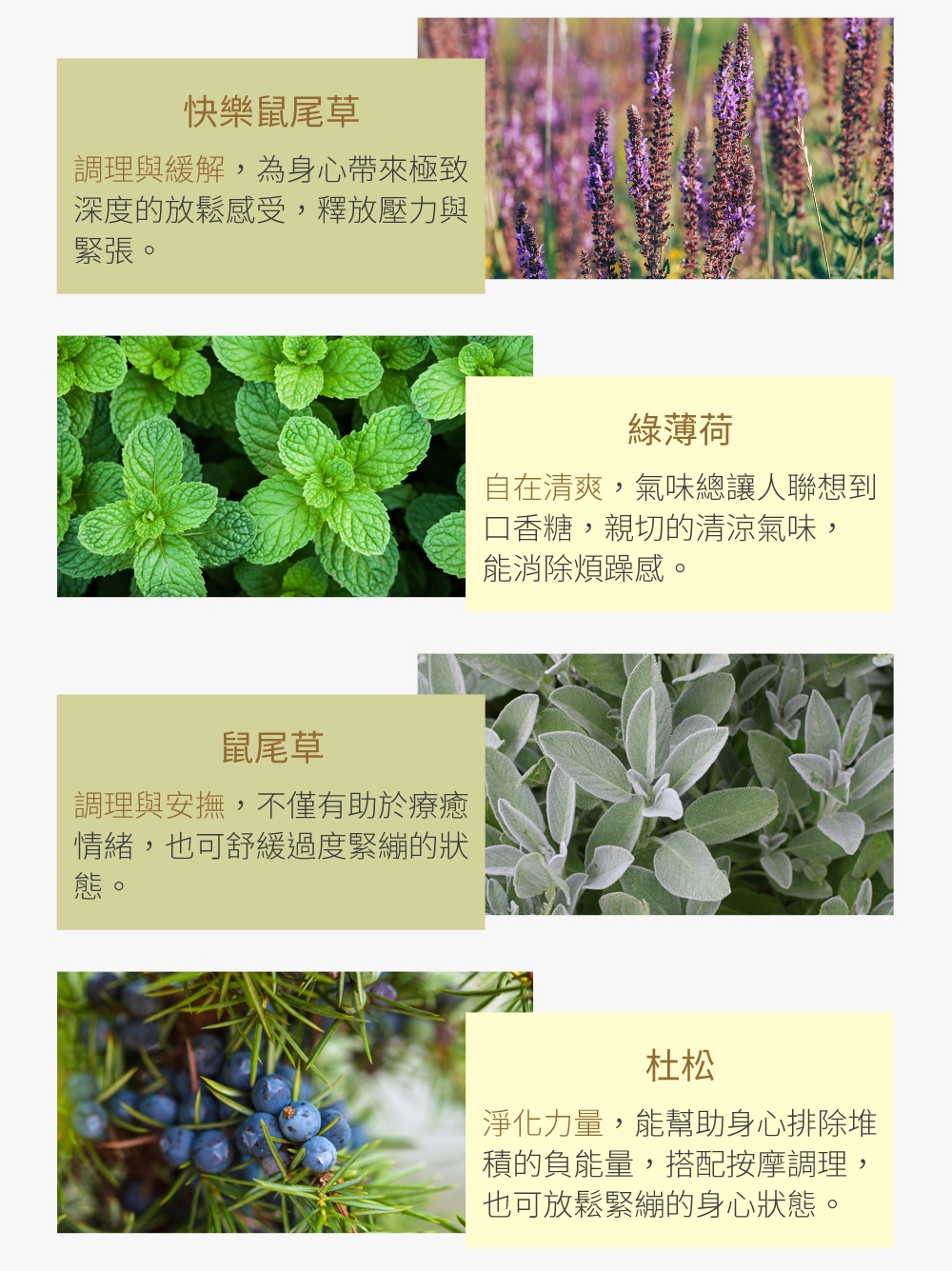 100%植物精油配方，與30年經驗的芳療大師攜手合作，注入芳香調理思維，融合10種植物萃取精油，打造一支能溫和地釋放疲憊身心與壓力的按摩油