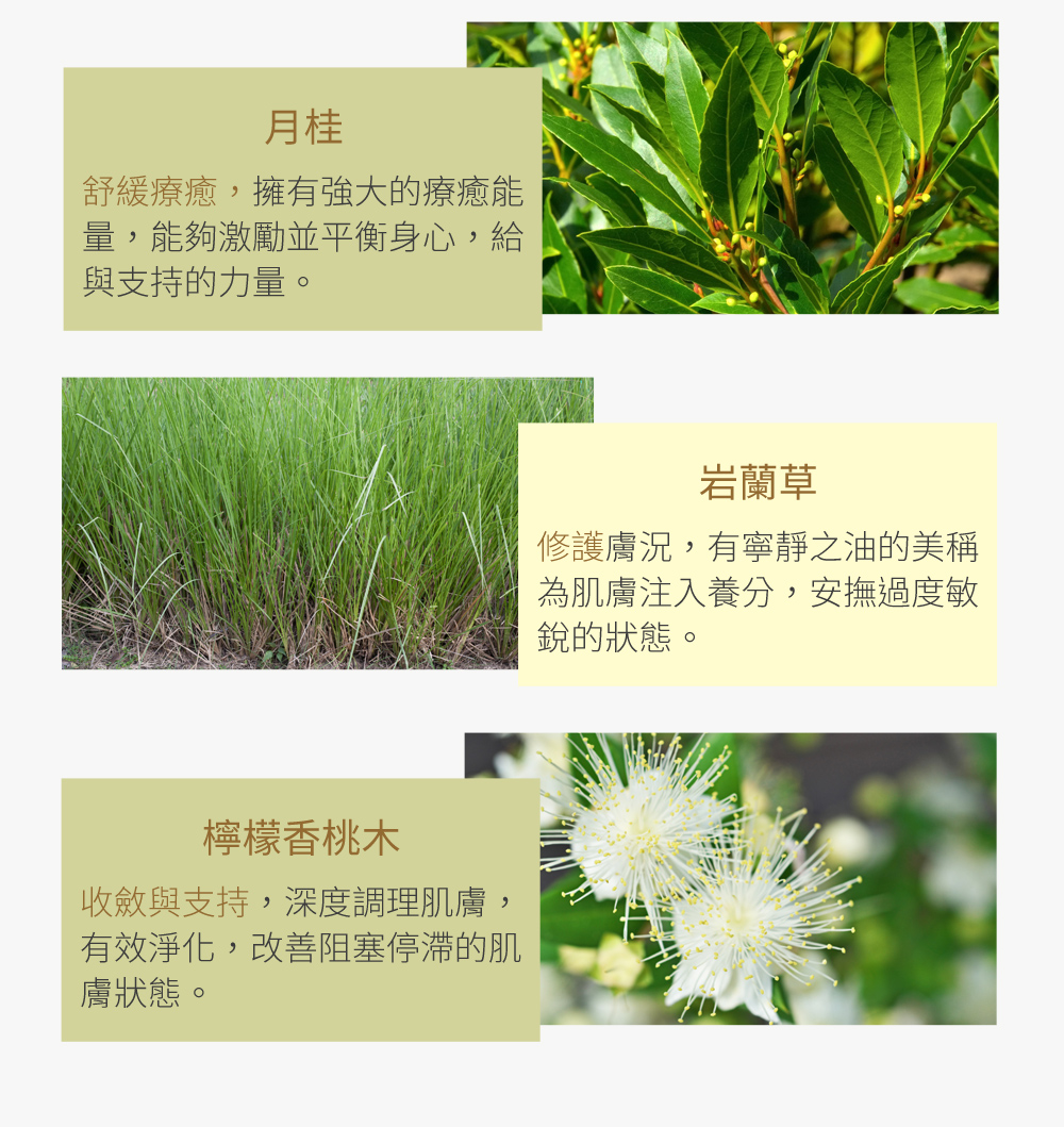 100%植物精油配方，與30年經驗的芳療大師攜手合作，注入芳香調理思維，融合10種植物萃取精油，打造一支能溫和地釋放疲憊身心與壓力的按摩油