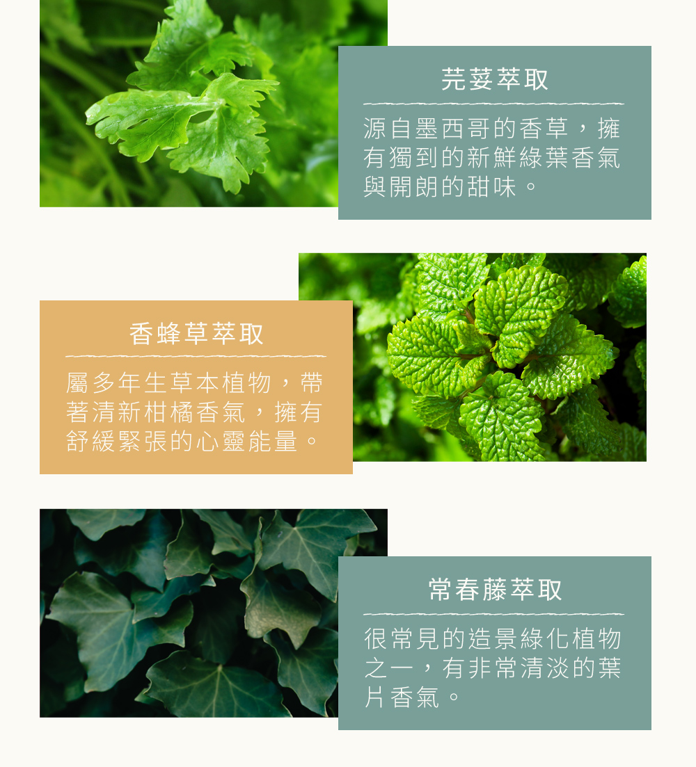 清新香氣取之天然植物，採用植物萃取精華，融合果香與青翠的葉片香氣散發著如陽光般溫暖清新且充滿元氣的正能量