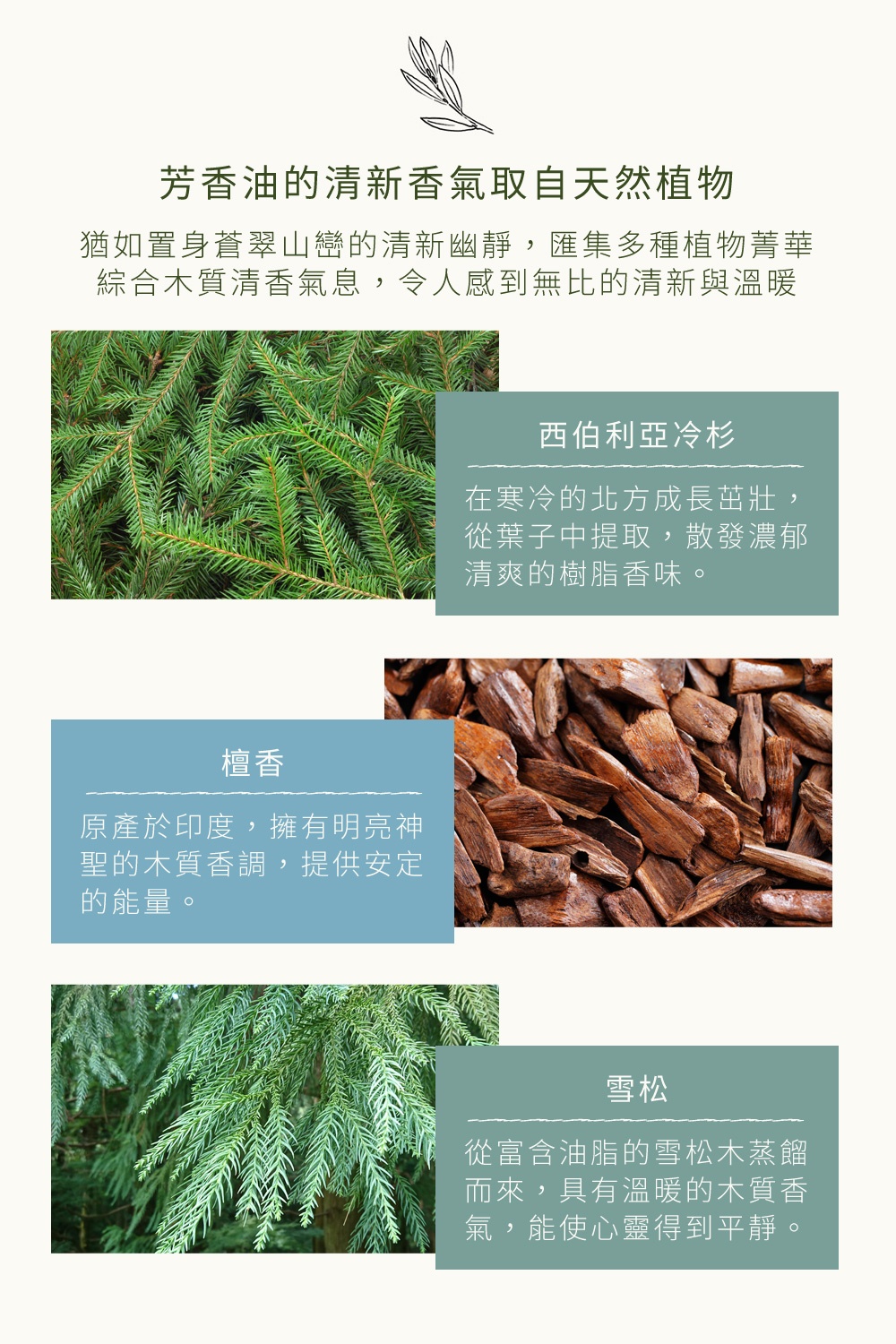 芳香油的清新香氣取自天然植物，猶如置身蒼翠山巒的清新幽靜，植物萃取香氣，綜合木質清香氣息，讓人感到無比的清新與溫暖