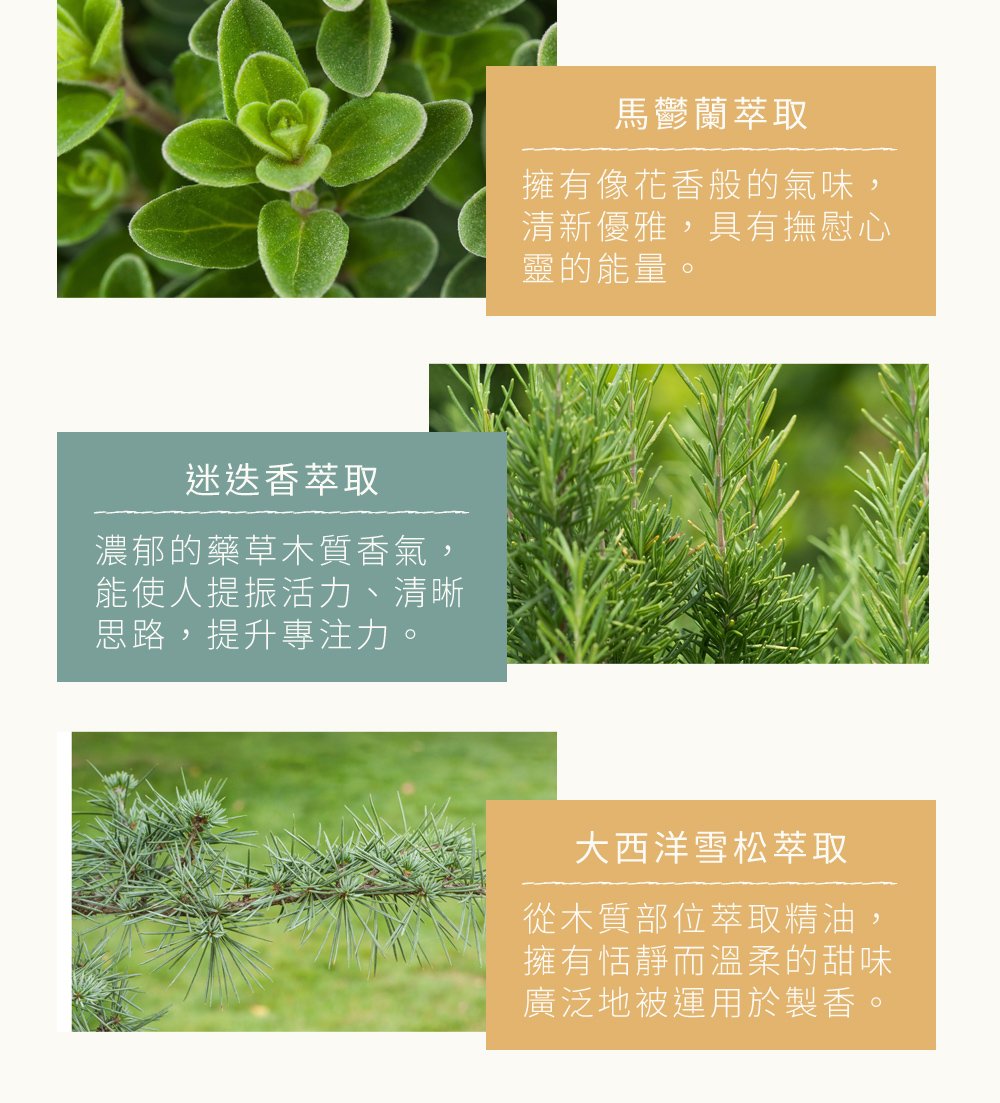 清新香氣取之天然植物，採用植物萃取精華，融合果香與青翠的葉片香氣散發著如陽光般溫暖清新且充滿元氣的正能量