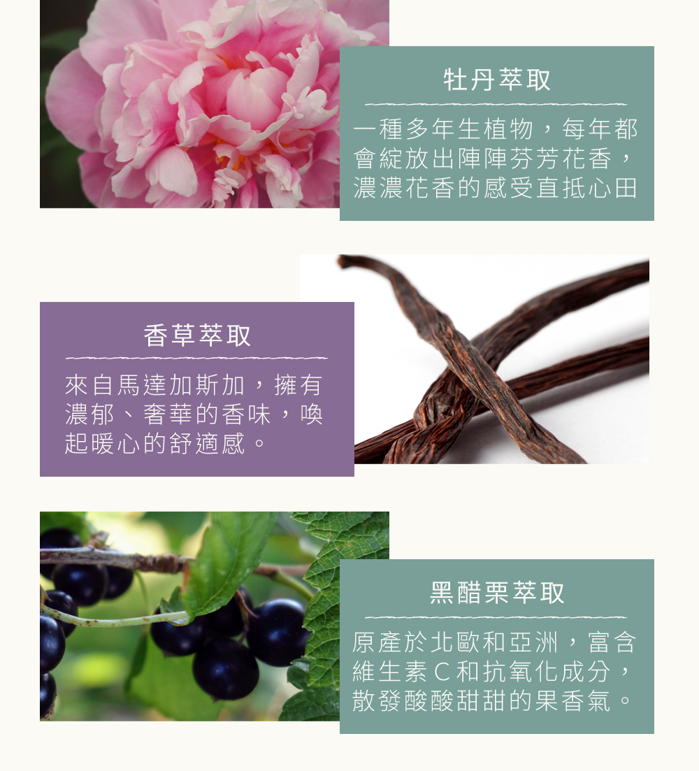 以植物萃取精華，調和出充滿活力的香氣為日常生活注入無限可能
