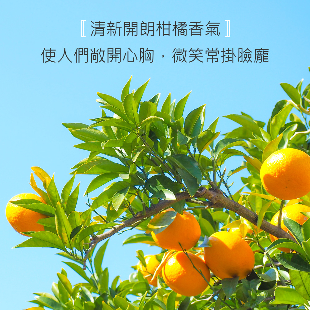 清新開朗柑橘香氣使人們敞開心胸   微笑常掛臉龐