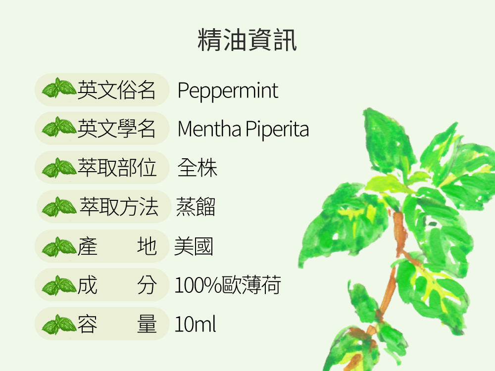 歐薄荷精油