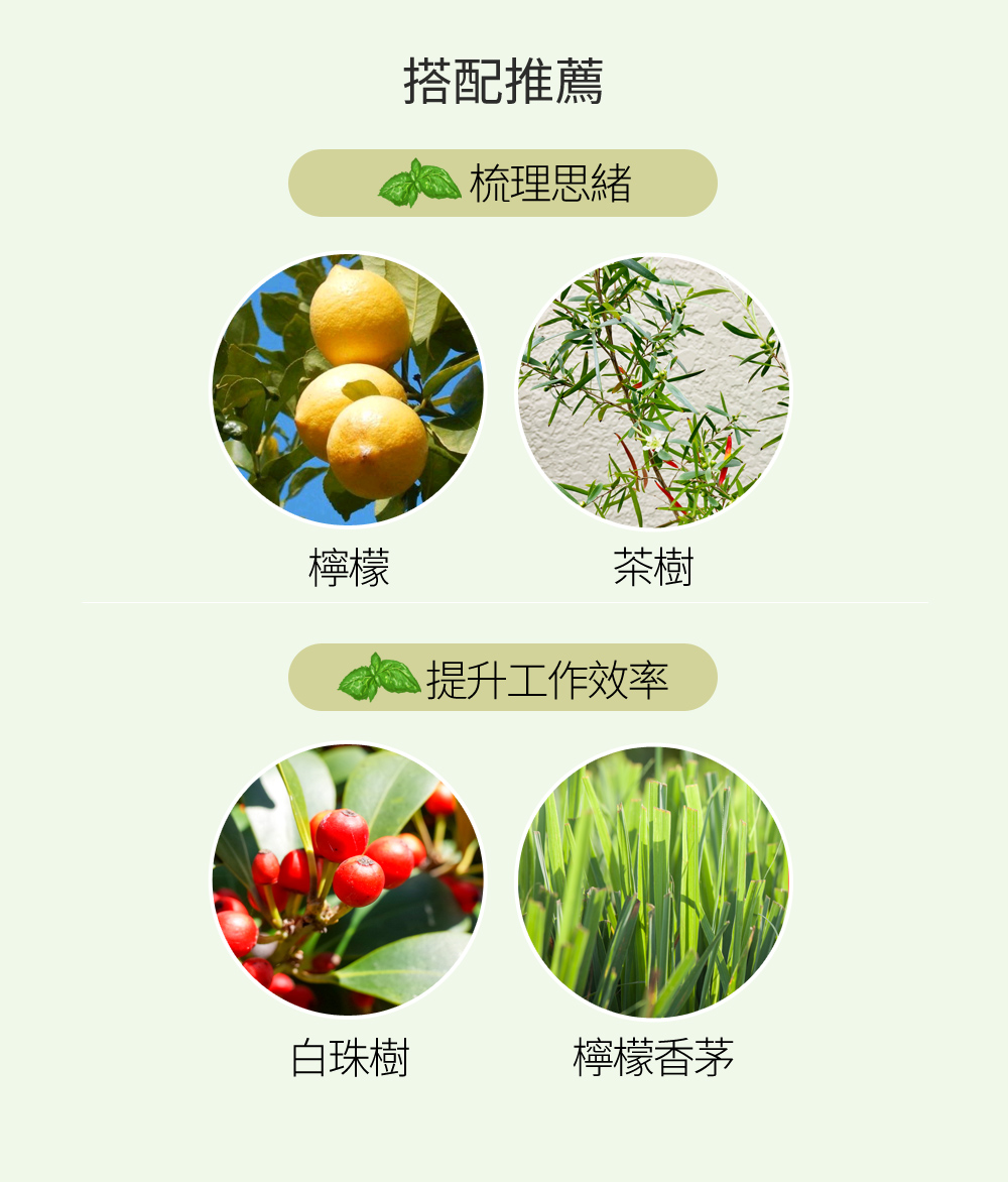 歐薄荷精油
