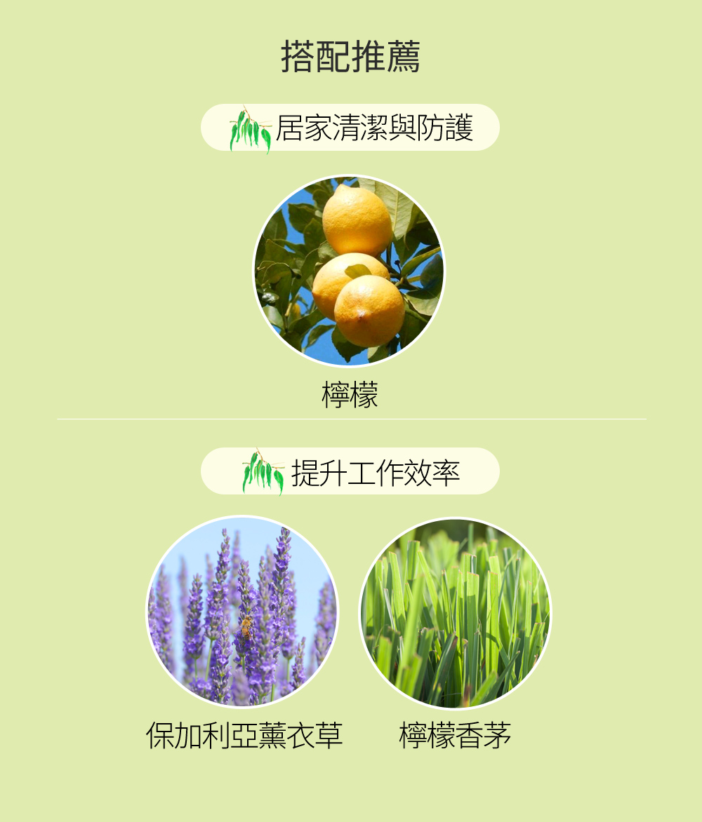 尤加利樹有上百種品種，能夠提煉出具效果的精油約15種，其中藍膠尤加利是氣味與效果都較為強力的常見精油。