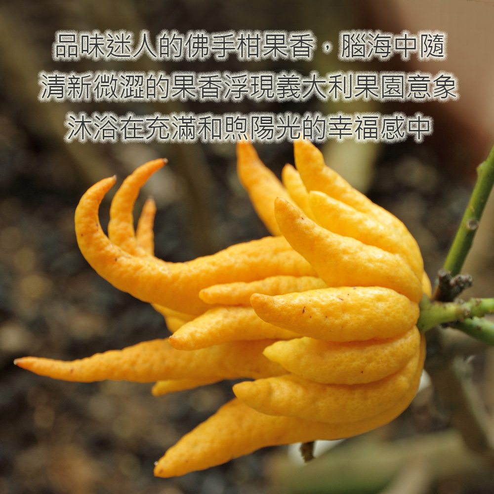 品味迷人的佛手柑果香，腦海中隨清新微澀的果香浮現義大利果園意象沐浴在充滿和煦陽光的幸福感中沐浴在充滿和煦陽光的幸福感中
