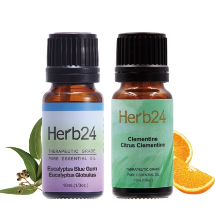 Herb24 藍膠尤加利 純質精油10ml【送】克萊門橘 純質精油 10ml