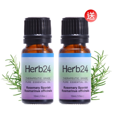 Herb24 迷迭香純質精油10ml－贈：迷迭香