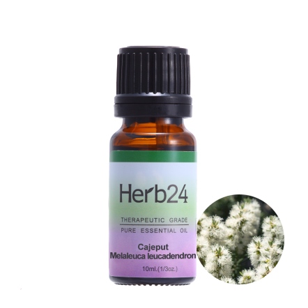 Herb24 白千層 純質精油 10ml