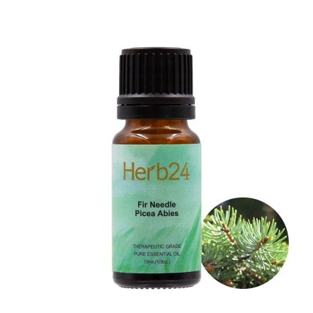Herb24 歐洲雲杉 純質精油 10ml