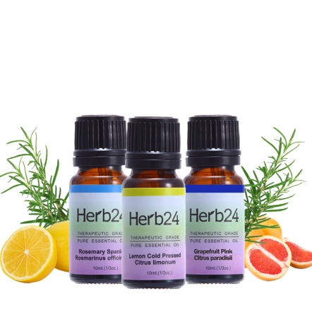 Herb24 純質精油３件組（迷迭香、檸檬、葡萄柚各10ml）