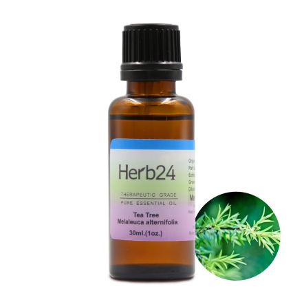 Herb24 茶樹 純質精油 30ml