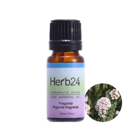 Herb24 芳枸葉 純質精油 10ml