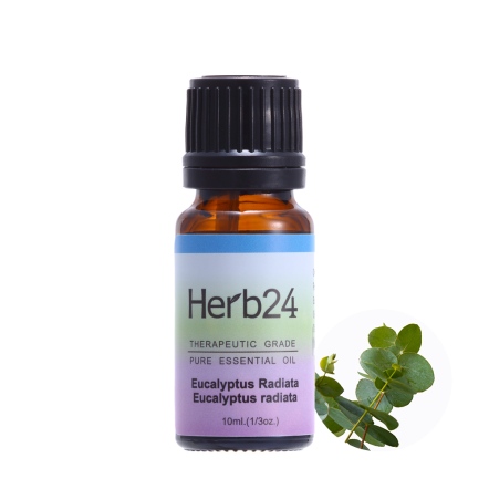Herb24 澳洲尤加利 純質精油 10ml
