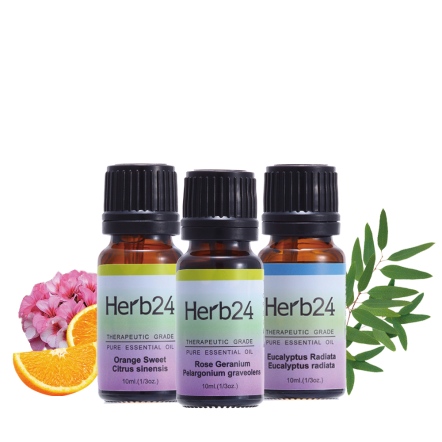 Herb24 純質精油３件組（甜橙、埃及玫瑰天竺、澳洲尤加利各10ml）