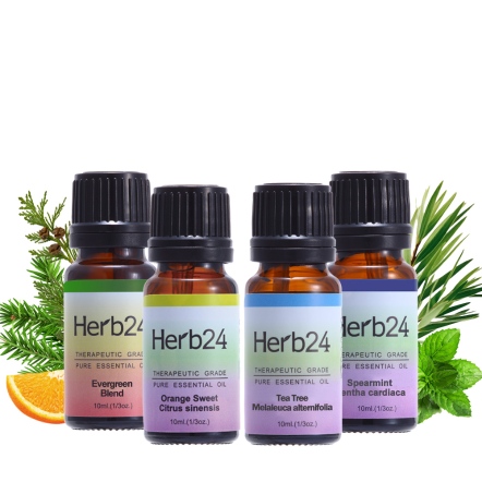 Herb24 純質精油４件組（森呼吸、甜橙、茶樹、綠薄荷各10ml）