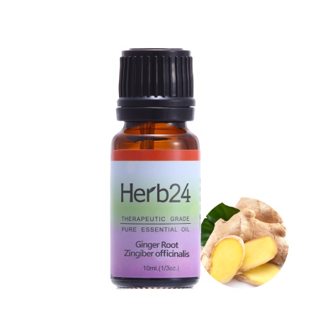 Herb24 薑 純質精油 10ml